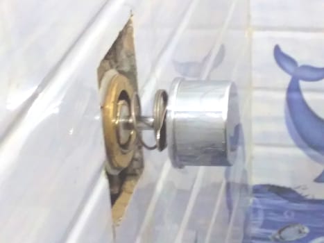 inside mechanism of the flush button
