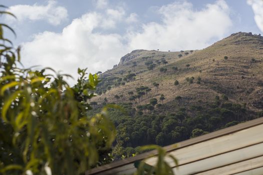 Monreale hills: detail of a hill vith vegetation in Monreale, Sicily