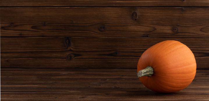 One orange pumpkin on dark wooden background with copy space for text , Halloween concept