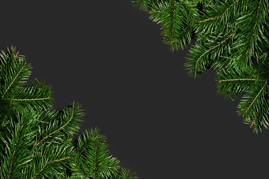 Pine Christmas tree branches on black paper background flat lay top view mock-up