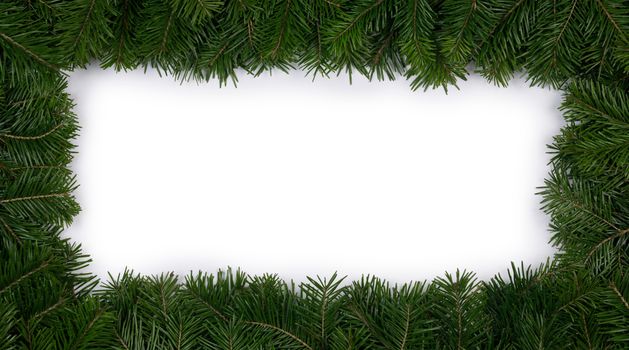 Natural fir Christmas tree border frame isolated on white , copy space for text