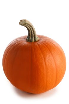 One perfect pumpkin isolated on white background