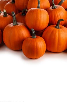 Heap of many orange pumpkins isolated on white background , Halloween concept