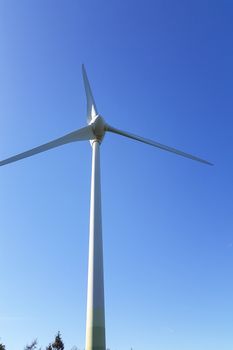 Wind turbine generating electricity in Holland, photographed from below.