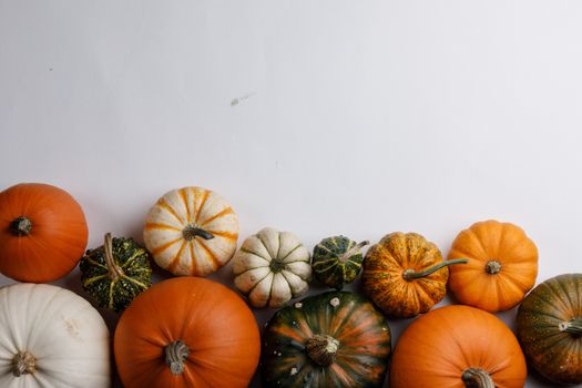 Many orange pumpkins on white background , Halloween concept , top view with copy space