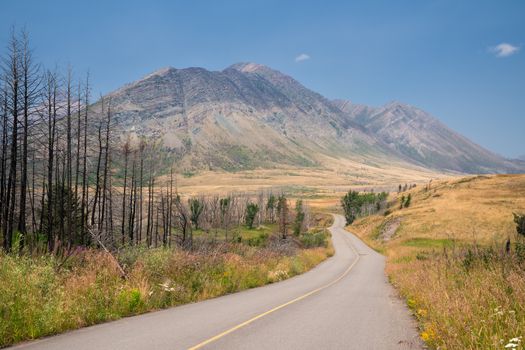 Waterton lake, Landscape of the Waterton Lakes National Park with blue sky, Alberta, Canada