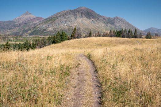 Waterton lake, Landscape of the Waterton Lakes National Park with blue sky, Alberta, Canada