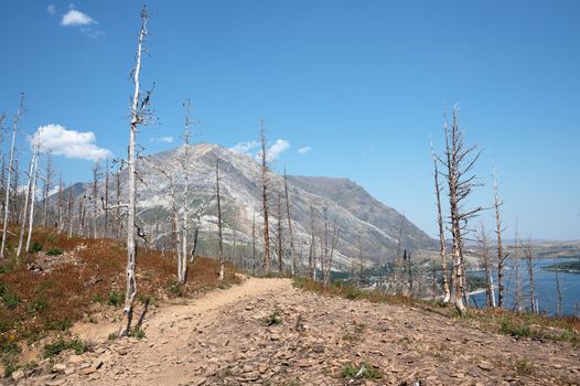 Landscape of the Waterton Lakes National Park with blue sky, Alberta, Canada