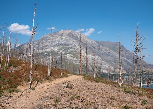 Landscape of the Waterton Lakes National Park with blue sky, Alberta, Canada