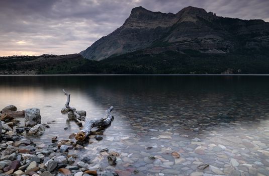 Panoramic image of the Waterton Lake at sunrise, Waterton Lakes National Park, Alberta, Canada