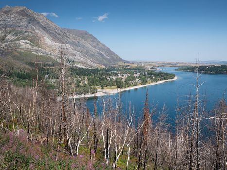 Waterton lake, Landscape of the Waterton Lakes National Park with blue sky, Alberta, Canada