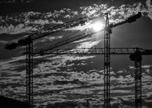 Cranes on a construction site with a cloudy sky during sundown