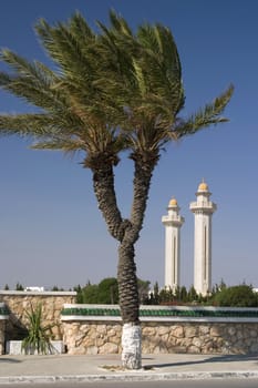 Two palm trunks against the backdrop of two minarets