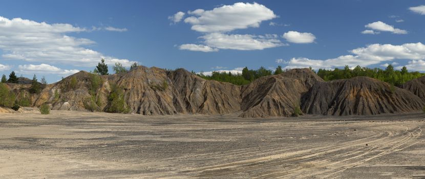 Spring Forest in a Sunny Day on Dunes of Sand and Clay in an Abandoned Quarry