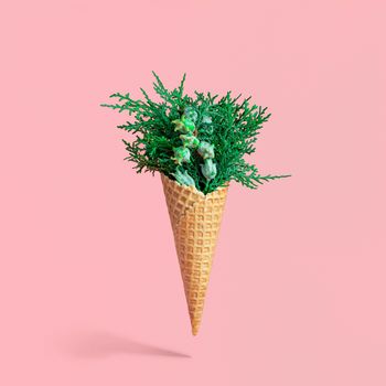 Christmas concept. Bouquet of cypress branches in ice cream cone. Isolated on pink background. Square shape