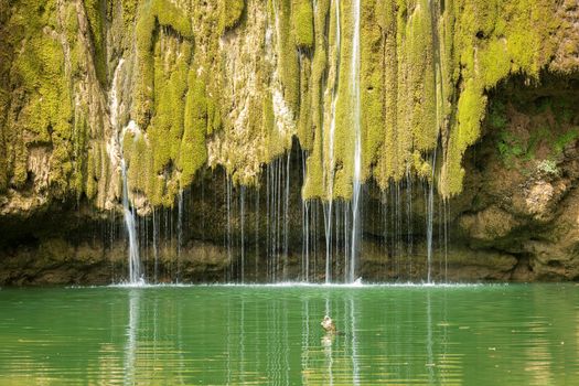 beautiful close up view of El Limon tropical waterfall with lots of moss and steaming water, front view of the final part of the waterfall located in the Dominican Republic of the Samaná peninsula.