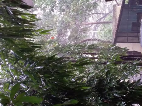 heavy rains in Pune  India