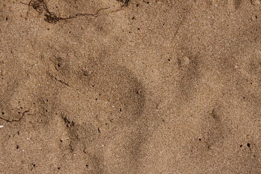 Mediterranenan Sand Texture from Sicily
