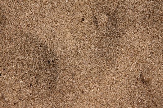 Mediterranenan Sand Texture from Sicily