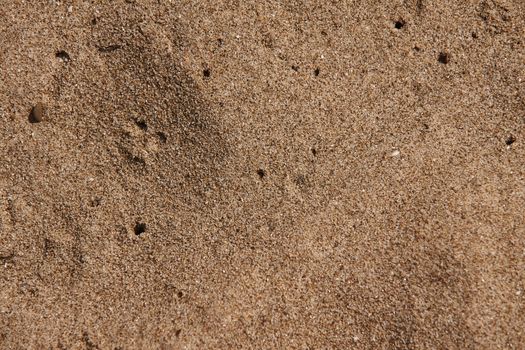 Mediterranenan Sand Texture from Sicily