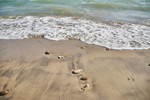 Shoreline in a sicilian beach in marina di butera