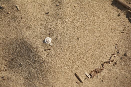 Mediterranenan Sand Texture from Sicily