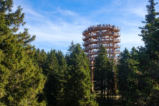 Forest canopy tower and walkway, footpath above treetops, outdoor adventure on Rogla, Slovenia