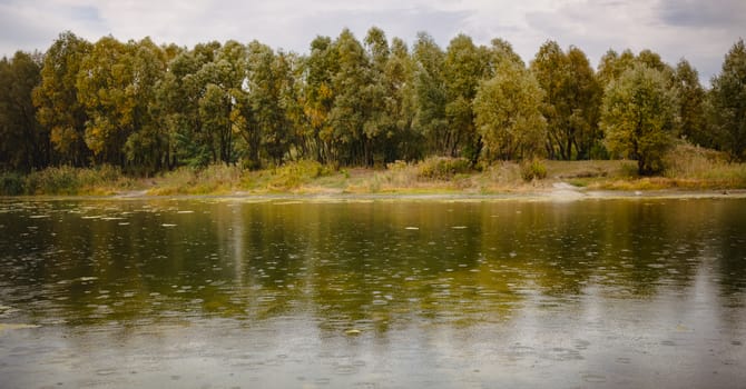 Rain and overcast sky over misty fall woodland. Orange autumn trees on riverbank and lake. Golden Autumn Landscape. Colorful trees in forest