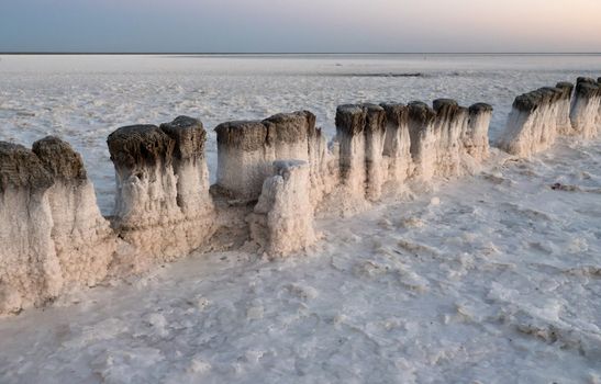 Wooden stumps. The point of salt crystallization in the salt lake Baskunchak, Russia.