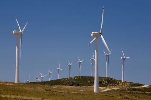 wind turbines farm. alternative energy source