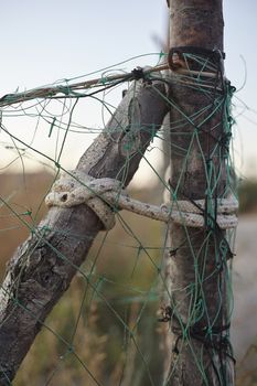 Knots in the wood branches in a fence