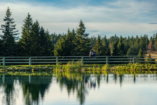 Young couple in love, unrecognizable, sitting on fence at lake, trees reflect in water, love, dating, tranquility and intimacy concept