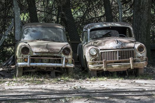 Stock image of two old, rusted, abandoned cars.