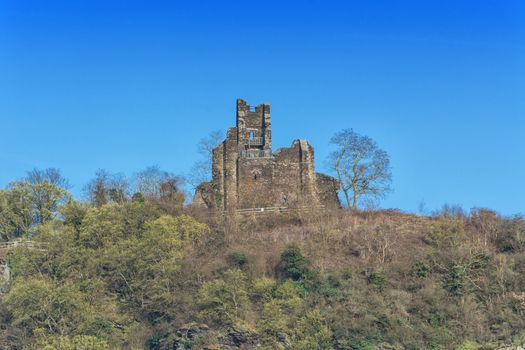 Old ruin on the Moselle in the vineyards of Germany's best vineyard.