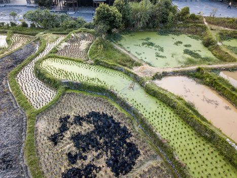 The bird's eye view of the rice field in the traditional Dong village of Zhaoxing in Guizhou, China.