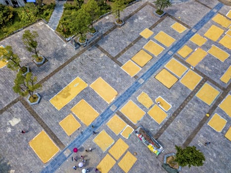 The rice drying in Longli ancient town, Guizhou of China.