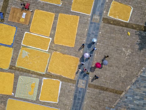 The rice drying in Longli ancient town, Guizhou of China.