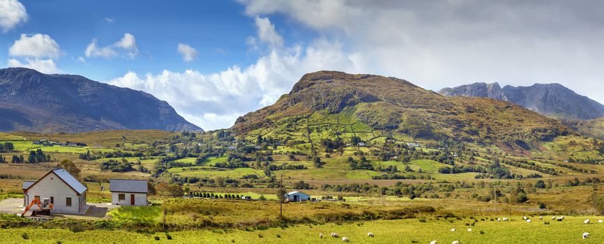 Panoramic landscape with mountains and sheeps,  Galway county, Ireland