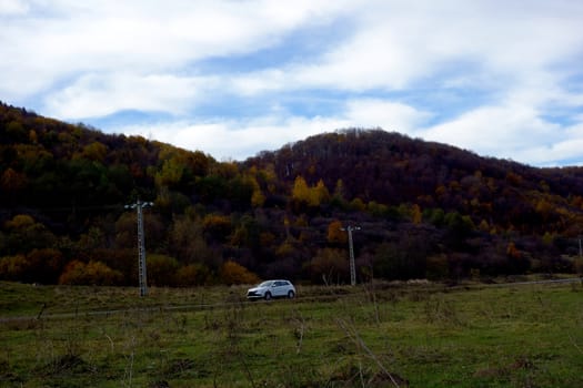 Autumn with joy, sun, travel plans, starting on the asphalt road, forest roads or paths lost through the beech forest.