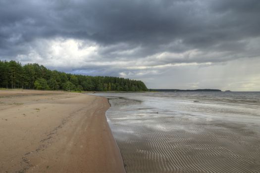 Beautiful Scenic View of Gulf Forest and Barren Beach