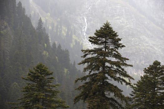 Mountain Covered by Forest in Heavy Rain