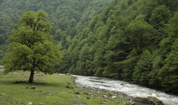 Landscape with a blue river in the mountains. Georgia, Europe. Caucasus mountains.
