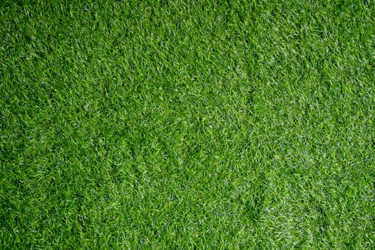 background The field of green lawn looks above.