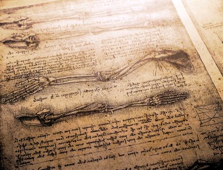 14th century anatomy art by Leonardo Da Vinci