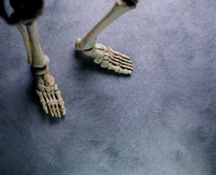 Miniature Human Skeleton Model Close Up