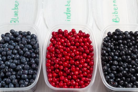 Berries laid out in containers, signed with a marker and prepared for freezing and storage, top view.
