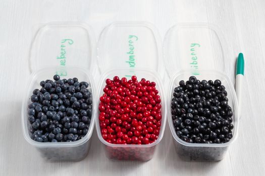 Berries laid out in containers, signed with a marker and prepared for freezing and storage.