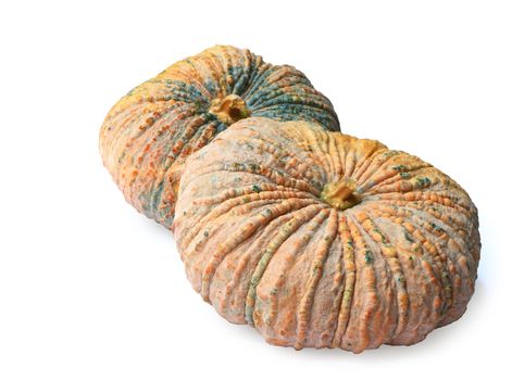 Group of pumpkin isolated on white background, clipping path.