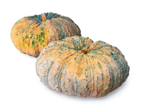 Group of pumpkins isolated on white background, clipping path.