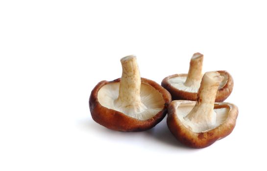 Group of several fresh shiitake mushrooms isolated over the white background.